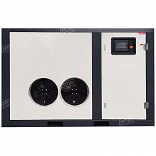 Винтовой компрессор GMP GM 55-25VSD TW — фото 3